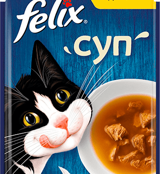 FELIX Soup GiG Chicken 48g